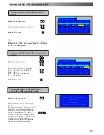 Предварительный просмотр 17 страницы Panasonic QuintrixF TX-28PS10P Operating Instructions Manual