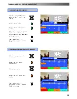 Предварительный просмотр 13 страницы Panasonic QuintrixF TX-29AL1P Operating Instructions Manual