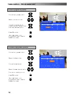 Предварительный просмотр 14 страницы Panasonic QuintrixF TX-29AL1P Operating Instructions Manual