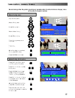 Предварительный просмотр 17 страницы Panasonic QuintrixF TX-29AL1P Operating Instructions Manual