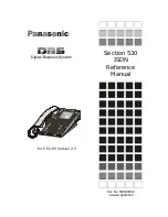 Panasonic T-SMART DBS-EX23-530 Reference Manual preview