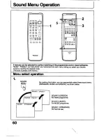 Preview for 60 page of Panasonic TC-29V1Z Operating Instructions Manual