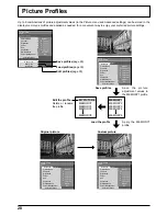 Предварительный просмотр 28 страницы Panasonic TH-103PF12E Operating Instructions Manual