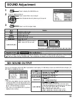 Предварительный просмотр 35 страницы Panasonic TH-103PF12U Operating Instructions Manual