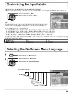 Предварительный просмотр 43 страницы Panasonic TH-103PF12U Operating Instructions Manual