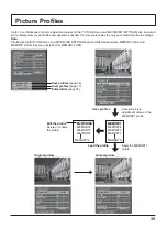 Предварительный просмотр 35 страницы Panasonic TH-42BT300U Operating Instructions Manual