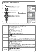 Предварительный просмотр 45 страницы Panasonic TH-42LFE7E Operating Instructions Manual