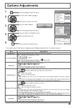 Preview for 43 page of Panasonic TH-42LFE7W Operating Instructions Manual