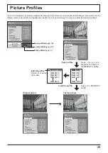 Preview for 29 page of Panasonic TH-42PF20 Operating Instructions Manual