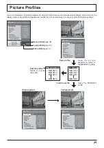 Предварительный просмотр 29 страницы Panasonic TH-42PF20W Operating Instructions Manual