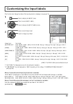 Preview for 43 page of Panasonic TH-42PF30U Operating Instructions Manual