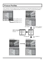 Предварительный просмотр 31 страницы Panasonic TH-42PF50U Operating Instructions Manual