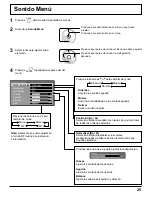 Preview for 25 page of Panasonic TH-42PRT12U Manual De Instrucciones