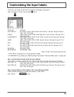 Preview for 43 page of Panasonic TH-50PB2W Operating Instructions Manual