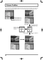 Предварительный просмотр 30 страницы Panasonic TH-60PF30W Operating Instructions Manual