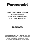 Panasonic TX-24CW304 Operating Instructions Manual preview