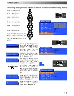 Предварительный просмотр 19 страницы Panasonic TX-24PS1 Operating Instructions Manual