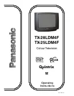 Panasonic TX-25LDM4F Operating Instructions Manual предпросмотр