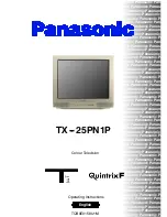 Предварительный просмотр 1 страницы Panasonic TX-25PN1P Operating Instructions Manual