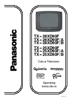 Panasonic TX-25XD90F Operating Instructions Manual предпросмотр