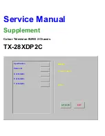 Panasonic TX-28ZDP2C Service Manual Supplement предпросмотр