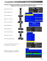 Предварительный просмотр 17 страницы Panasonic TX-29PM1F Operating Instructions Manual