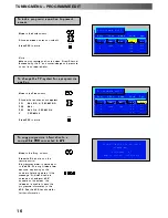 Предварительный просмотр 16 страницы Panasonic TX-29PS10P Operating Instructions Manual