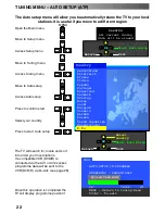 Предварительный просмотр 22 страницы Panasonic TX-29PS11DM Operating Instructions Manual