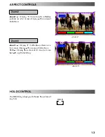 Preview for 13 page of Panasonic TX-29T60B Operating Instructions Manual