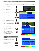 Предварительный просмотр 19 страницы Panasonic TX-32PS12P Operating Instructions Manual