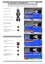 Предварительный просмотр 21 страницы Panasonic TX-W32D4DP Operating Instructions Manual