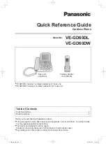 Panasonic VE-GD60DL Quick Reference Manual preview