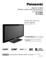 Preview for 115 page of Panasonic Viera TC-P42X1 Operating Instructions Manual