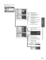 Предварительный просмотр 43 страницы Panasonic Viera TX-P50VT20B Operating Instructions Manual