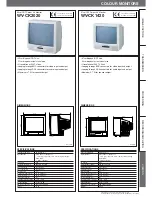 Panasonic WVCK1420 - COLOR MONITOR Specification Sheet предпросмотр