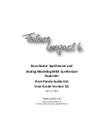 Panda-Audio Future Impact I User Manual preview