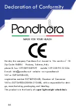 Preview for 66 page of Pandhora Evo Manual