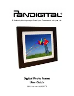 Pandigital PAN1200DWPTFR User Manual preview