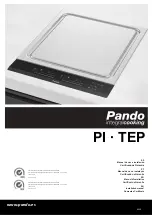 Pando PI-TEP Installation Manual preview