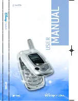 Pantech DM P100 User Manual preview