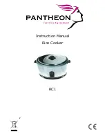 Pantheon RC1 Instruction Manual preview