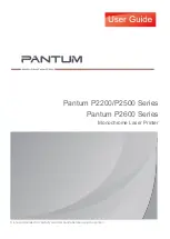 Preview for 1 page of Pantum P2500 Series User Manual