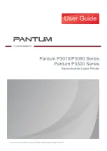 Pantum P2800DW Series User Manual preview