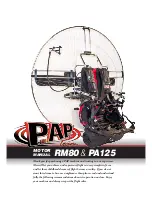 PAP Team RM80 Manual preview