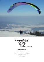 PAPILLON P42 Manual preview