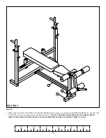 Предварительный просмотр 14 страницы ParaBody 807 BODY SYSTEM User Manual