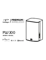 Paradigm PW 300 Owner'S Manual preview