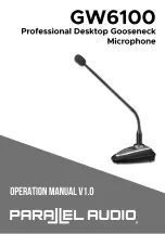 Parallel Audio GW6100 Operation Manual preview