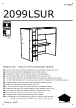 PARISOT 2099 LSUR Directions For Use Manual preview