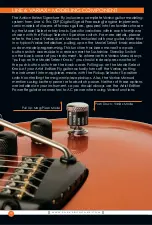 Preview for 14 page of Parker Adrian Belew Signature Fly Owner'S Manual